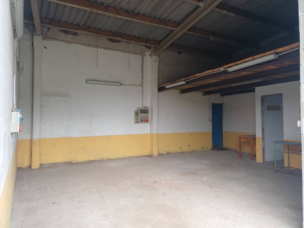 negozio in affitto a San Giuliano Terme