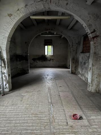 negozio in affitto a San Giuliano Terme in zona Colignola