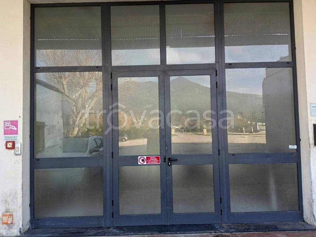 quadrivano in affitto a San Giuliano Terme in zona Mezzana