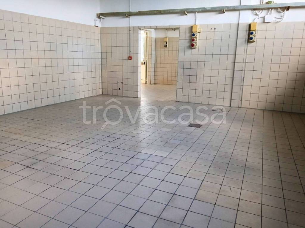 immagine annuncio 0 di 10