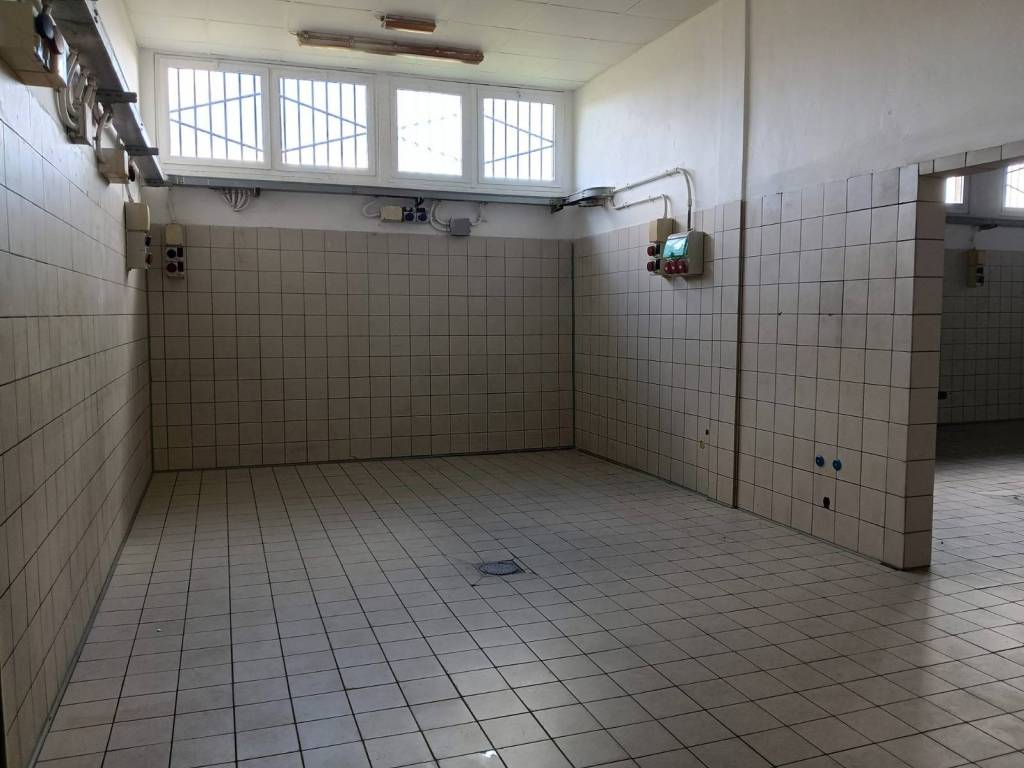 locale commerciale in affitto a San Giuliano Terme in zona Colignola