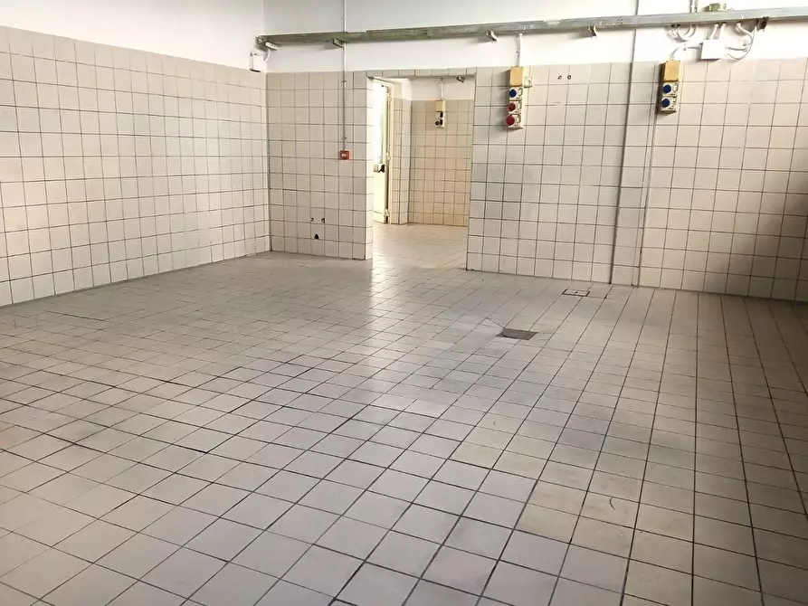 appartamento in affitto a San Giuliano Terme in zona Colignola