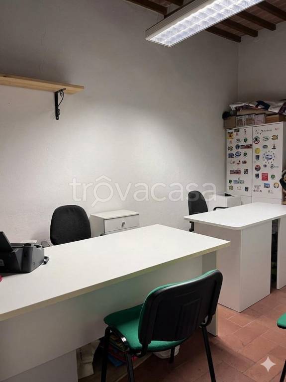 appartamento in affitto a San Giuliano Terme