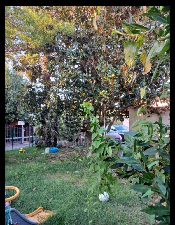 appartamento in affitto a San Giuliano Terme in zona Campo