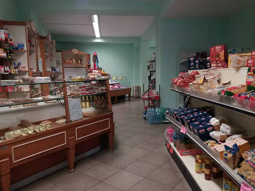 negozio in affitto a San Giuliano Terme in zona Pontasserchio
