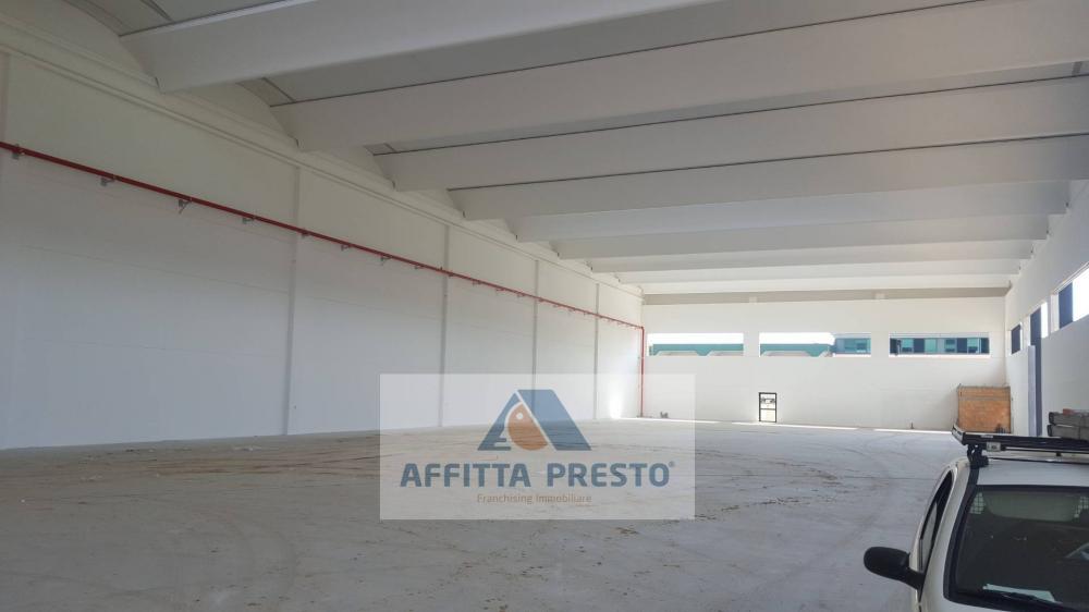 capannone in affitto a Santa Croce sull'Arno
