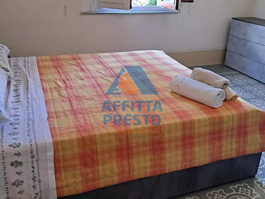 casa indipendente in affitto a Santa Croce sull'Arno