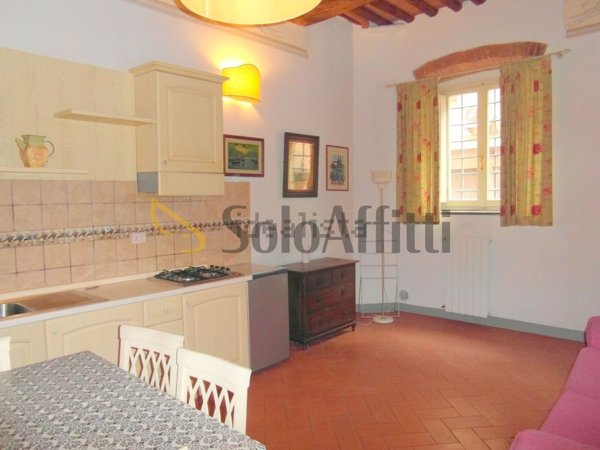 appartamento in affitto a Santa Croce sull'Arno