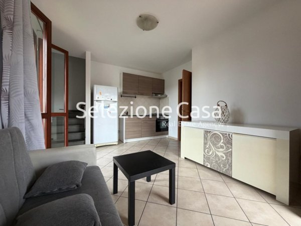 appartamento in affitto a Santa Maria a Monte in zona Montecalvoli