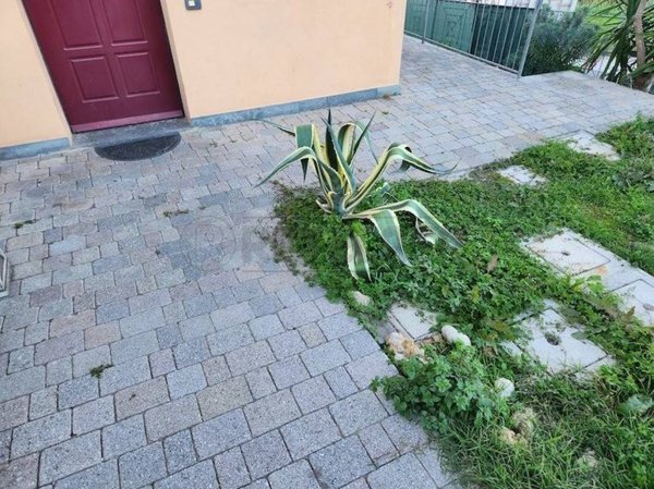 appartamento in affitto a Terricciola in zona Soiana