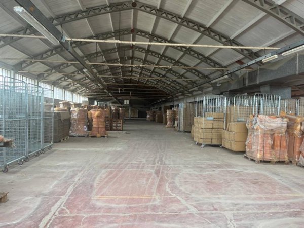 negozio in affitto a Terricciola in zona La Rosa