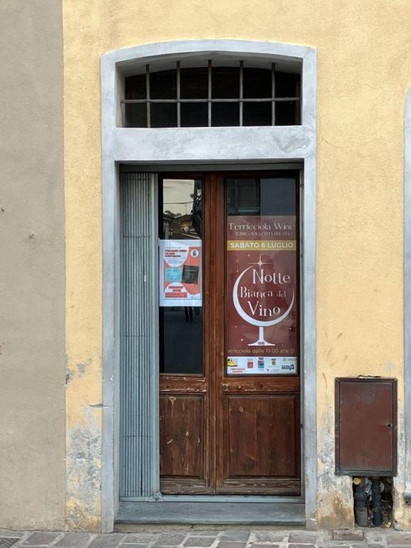 negozio in affitto a Terricciola