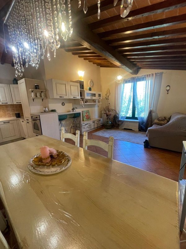 appartamento in affitto a Terricciola