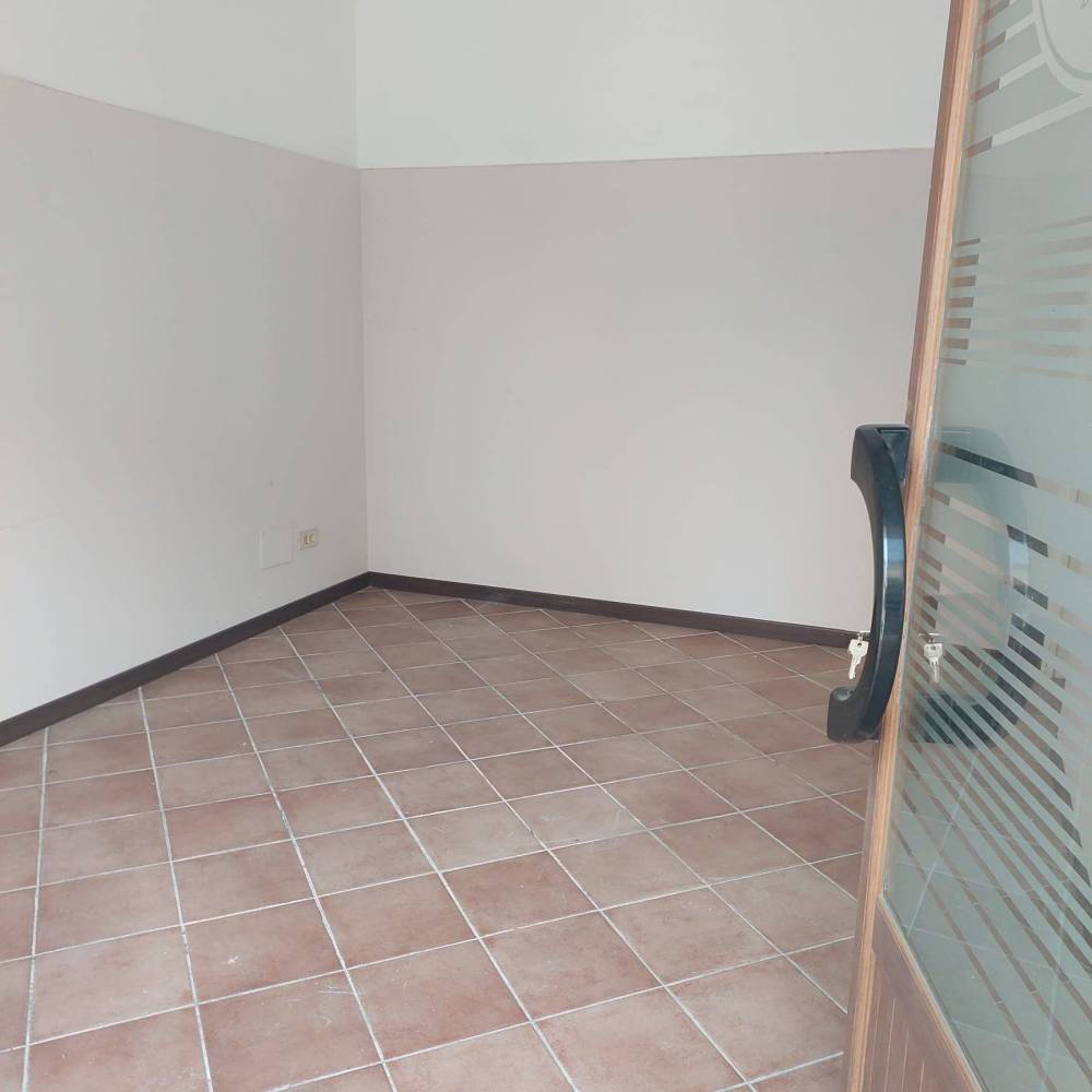 negozio in affitto a Vecchiano in zona Nodica