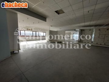 locale commerciale in affitto a Vecchiano