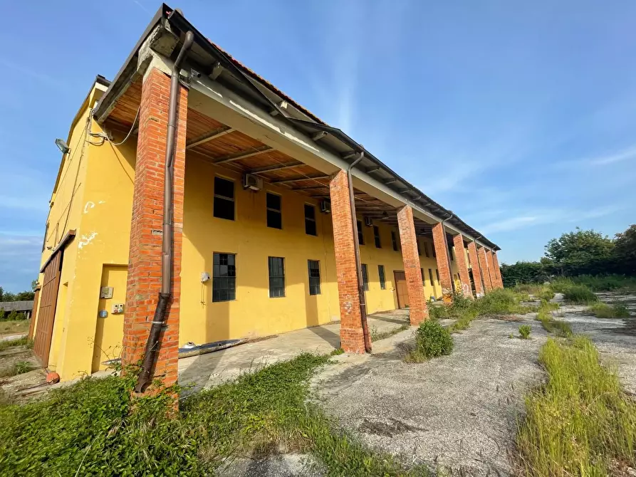 appartamento in affitto a Vecchiano