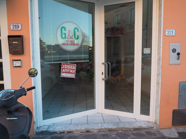 negozio in affitto a Vecchiano