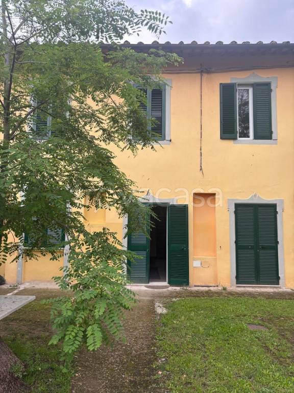 casa indipendente in affitto a Vecchiano in zona Nodica