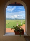 casa indipendente in affitto a Vecchiano