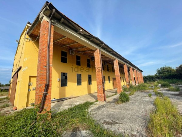 appartamento in affitto a Vecchiano