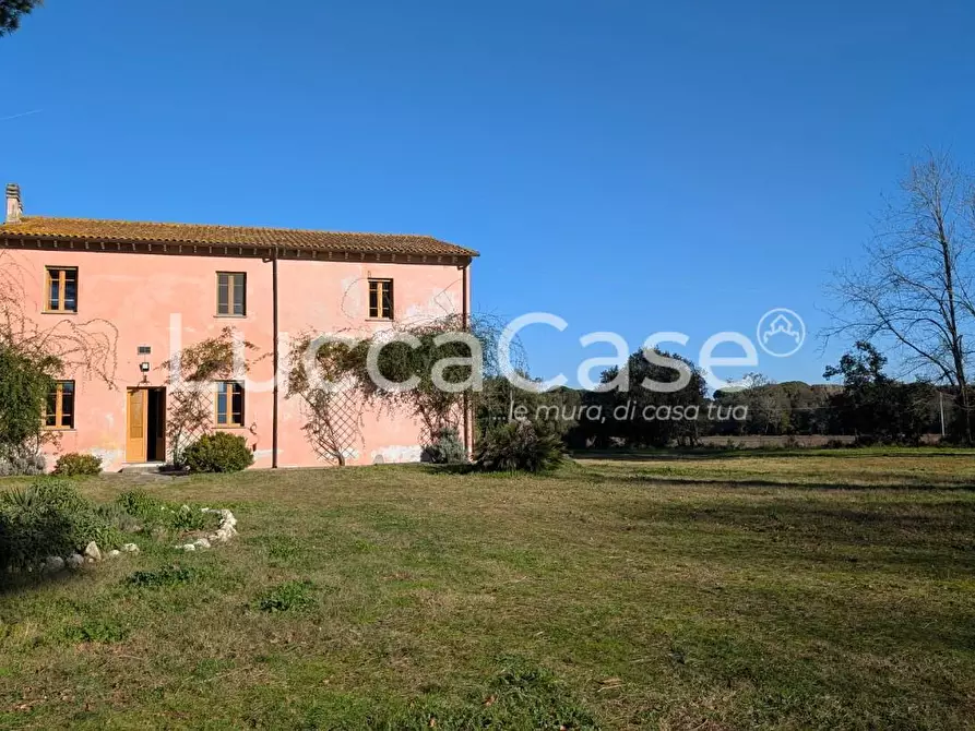 appartamento in affitto a Vecchiano