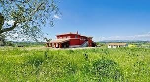 negozio in affitto a Vecchiano