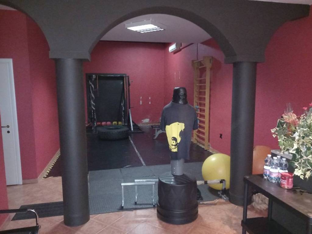 negozio in affitto a Vicopisano