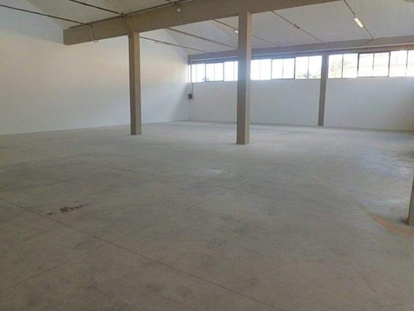 locale commerciale in affitto a Vicopisano