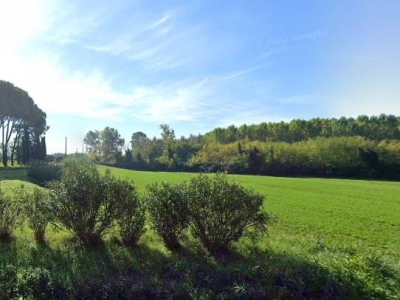 locale di sgombero in affitto a Vicopisano