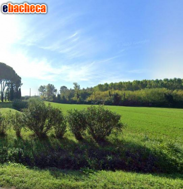 capannone in affitto a Vicopisano