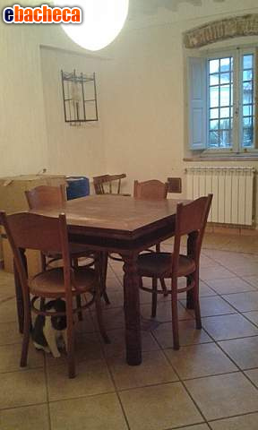 appartamento in affitto a Vicopisano