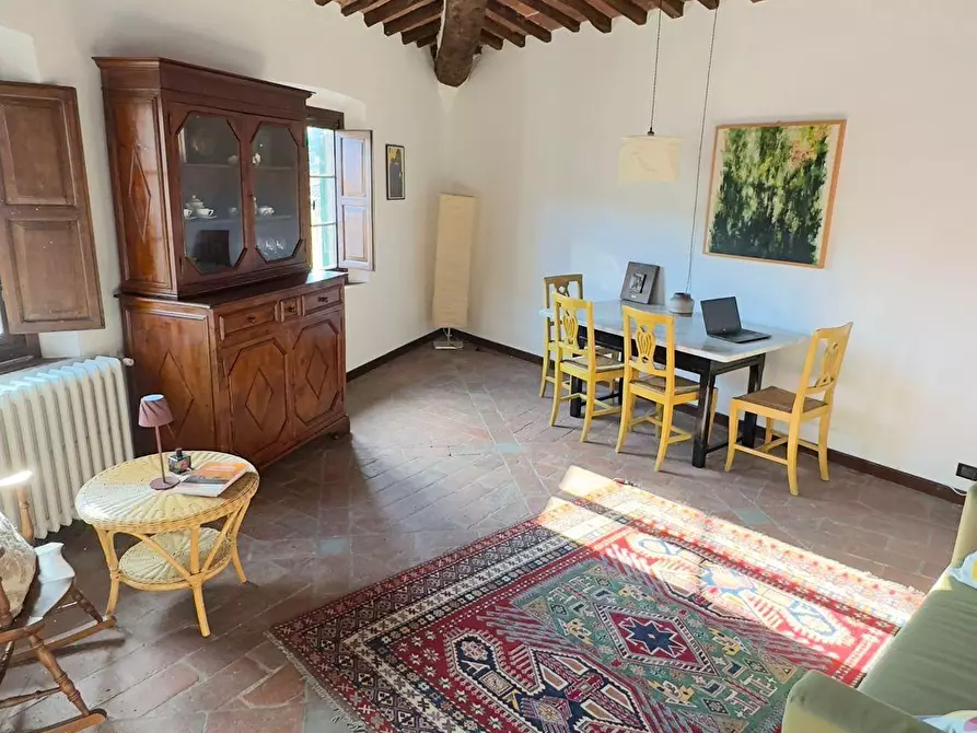 appartamento in affitto a Vicopisano