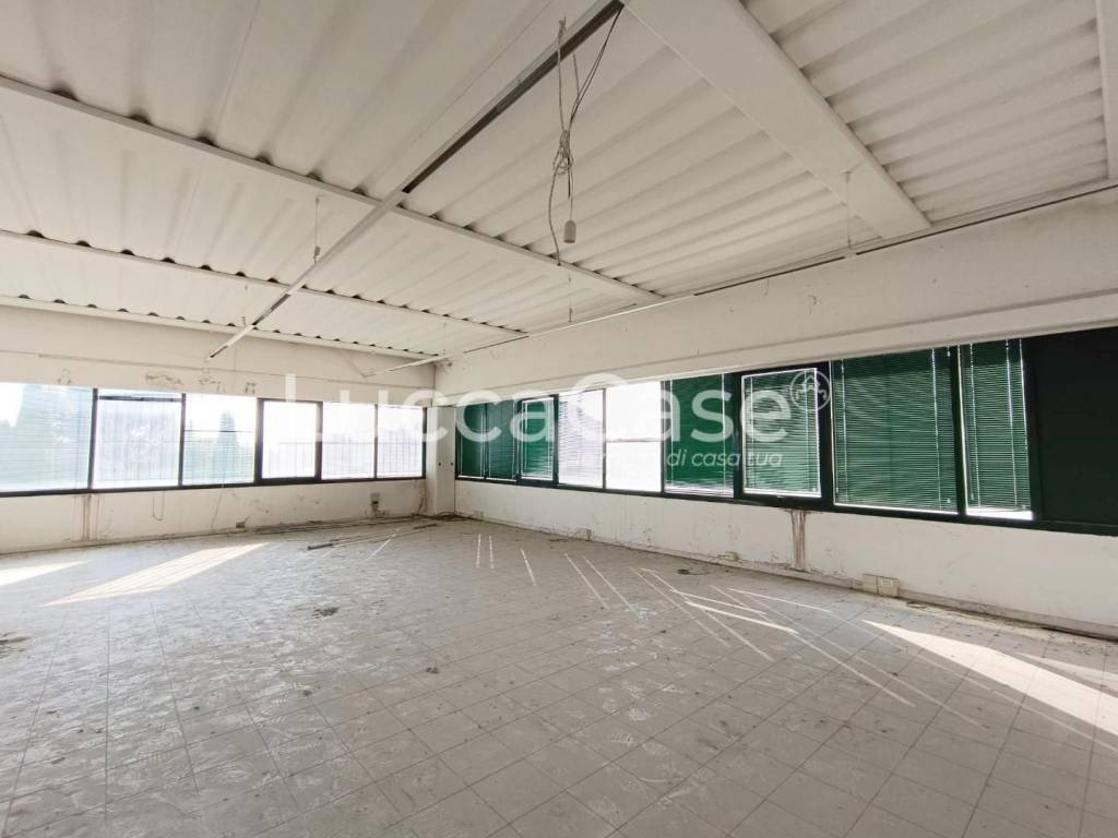 locale commerciale in affitto a Vicopisano