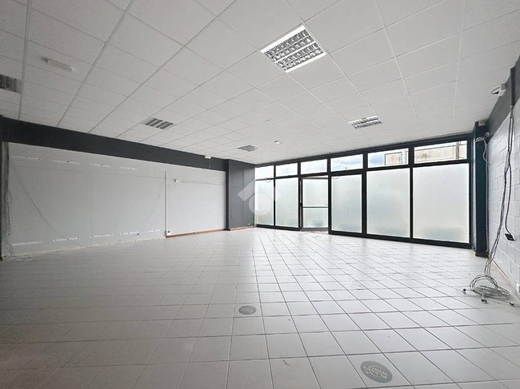 negozio in affitto a Vicopisano