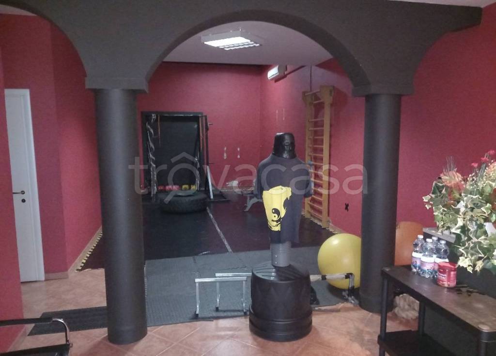 trivano in affitto a Vicopisano