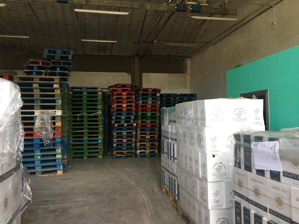 appartamento in affitto a Vicopisano