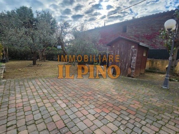 appartamento in affitto a Vicopisano