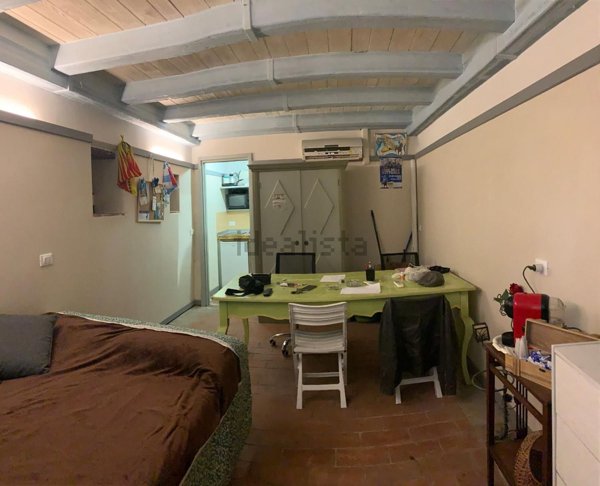 appartamento in affitto a Vicopisano