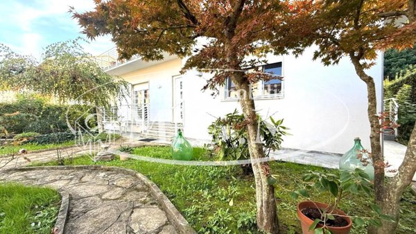 appartamento in affitto a Vicopisano