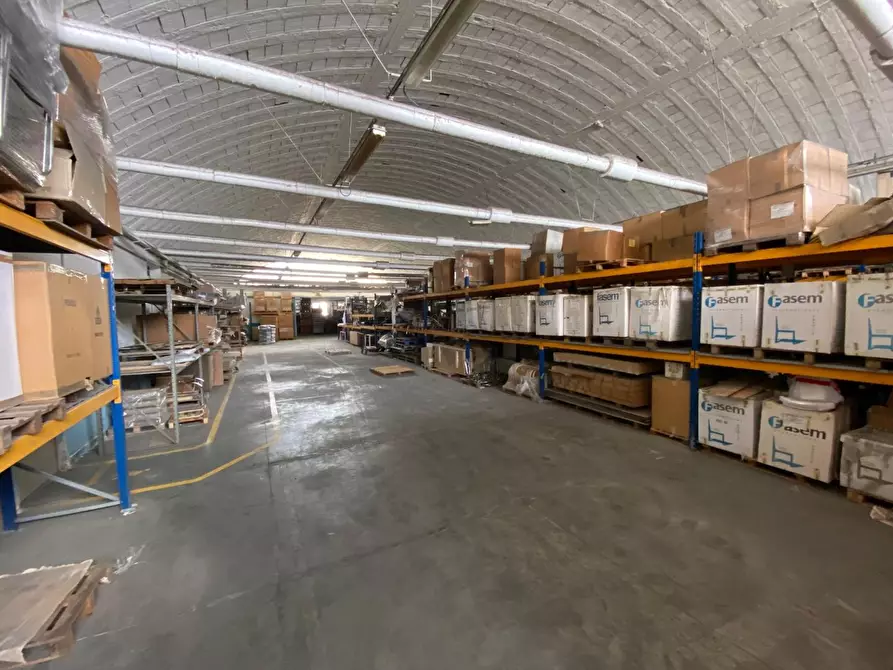 capannone in affitto a Vicopisano