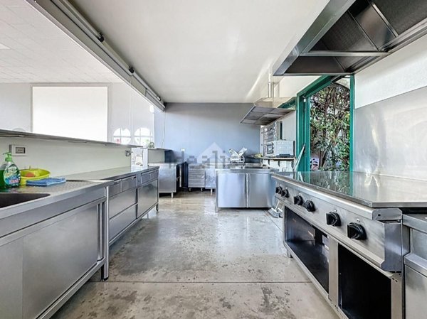 capannone in affitto a Vicopisano