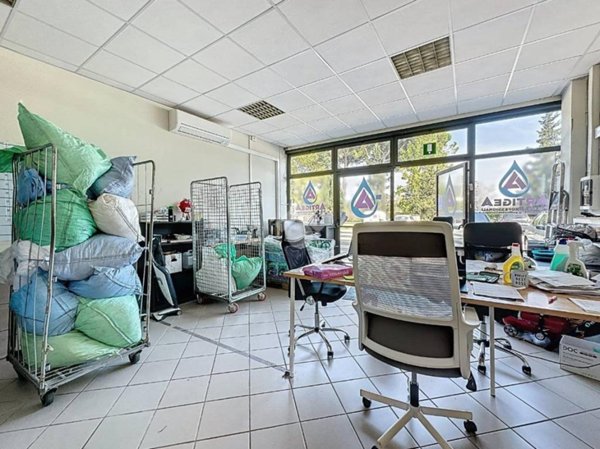 loft in affitto a Vicopisano