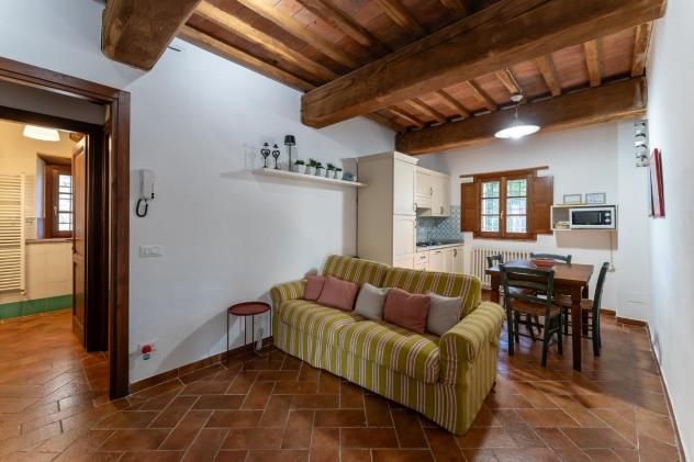 appartamento in affitto a Vicopisano