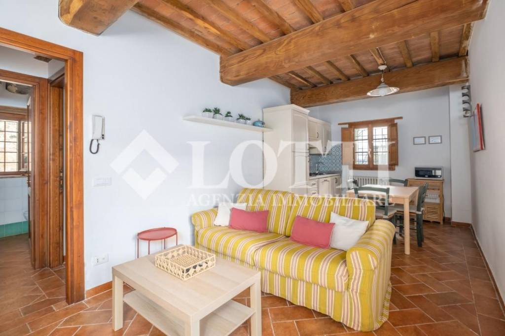 appartamento in affitto a Vicopisano