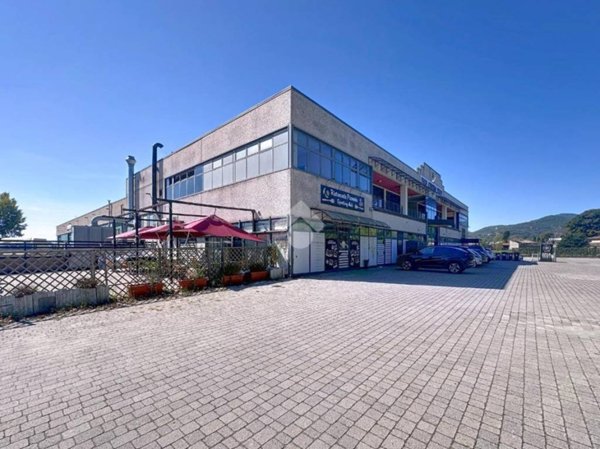 ufficio in affitto a Vicopisano