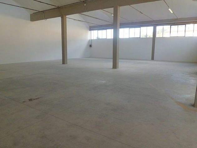 capannone in affitto a Vicopisano