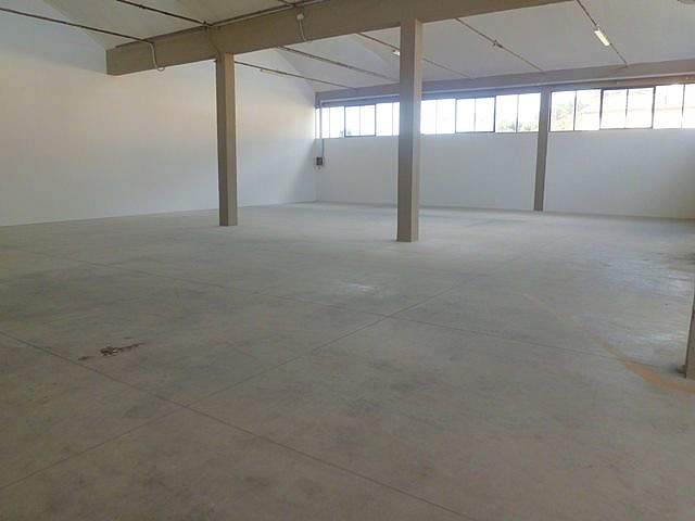 capannone in affitto a Vicopisano