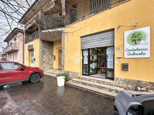 negozio in affitto a Vicopisano