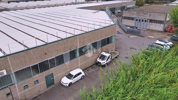 capannone in affitto a Vicopisano