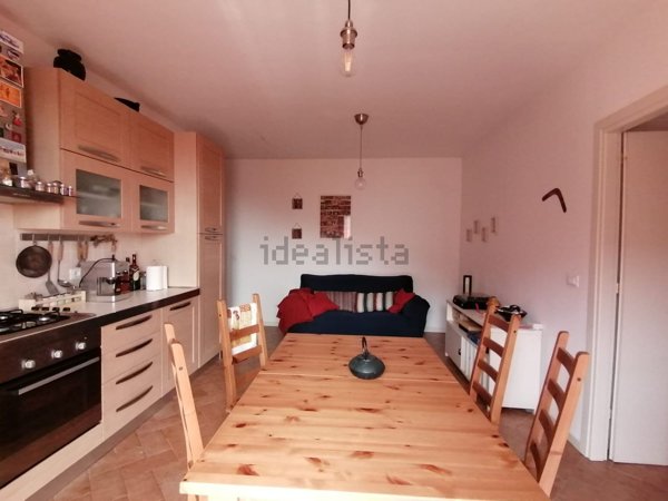 appartamento in affitto a Vicopisano